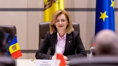 Doina Gherman: Nu contează proveniența dronei, de vină este statul agresor Rusia
