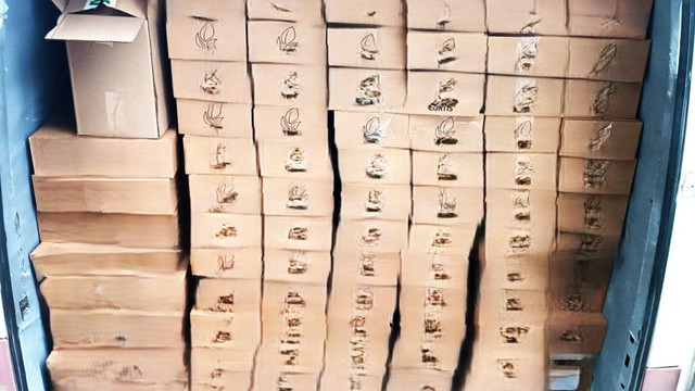 11 mii de pliculețe de ceai neconform, confiscate și distruse la Leușeni
