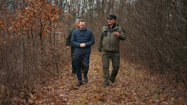 Ministrul Mediului avertizează: Pădurile ajung la vârsta la care nu se mai pot regenera singure și devin vulnerabile la boli și dăunători