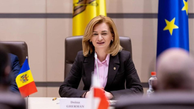 Doina Gherman: Ritmul de adoptare a legilor trebuie încetinit. Instituțiile nu țin pasul