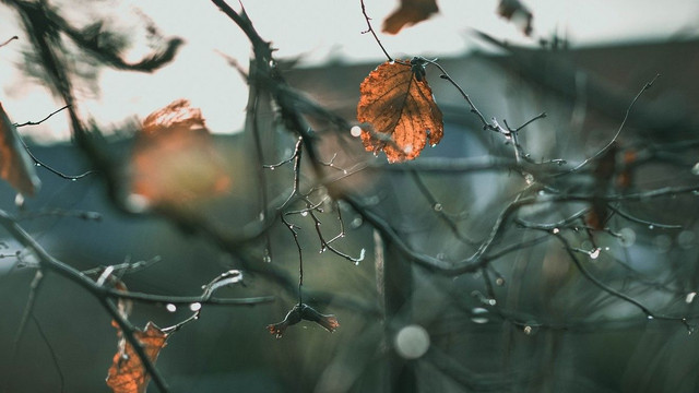 METEO | Vreme stabilă și fără precipitații. Câte grade se vor înregistra astăzi, 17 decembrie 