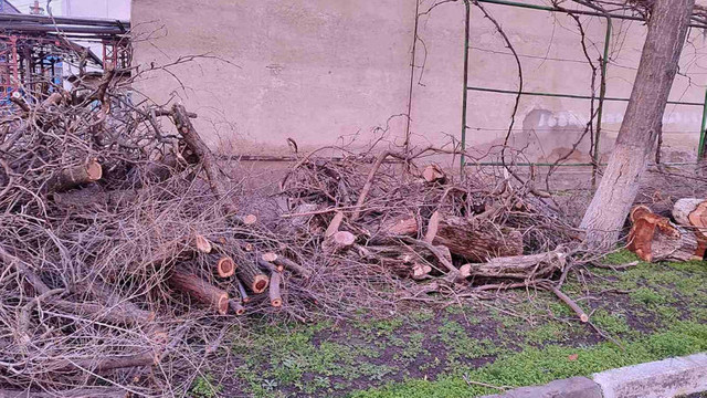 Amenzi de peste 20 mii de lei în urma raziilor efectuate de inspectorii de mediu la Bălți

