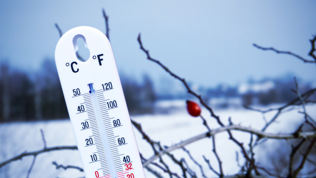 Ministerul Agriculturii: Temperaturile de până la –12°C sunt favorabile culturilor agricole