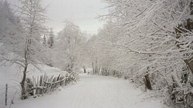 Cea mai geroasă noapte din acest sezon, în România: Minimele vor atinge -20 grade Celsius
