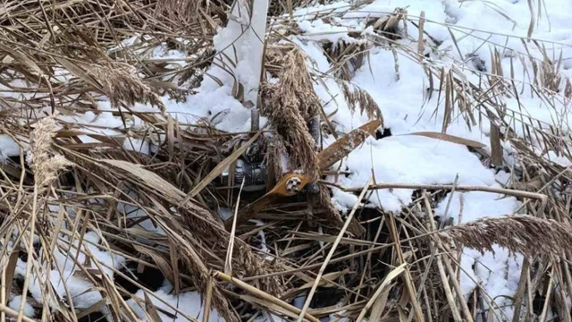 O dronă de mari dimensiuni a fost găsită pe malul unui iaz din Telenești. Poliția a izolat zona