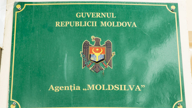 Noi directori la Agenția de Mediu și „Moldsilva”