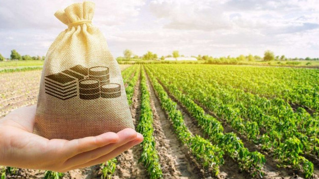 Peste 300 de afaceri agricole micro și mici, finanțate prin Programul „Facilitatea de Creditare în Agricultură”