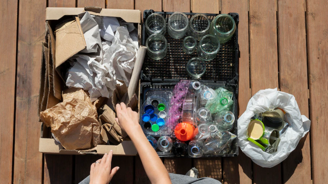 Guvernul a aprobat regulamentul sanitar privind plasticul reciclat utilizat în contact cu alimentele

