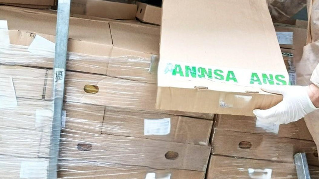ANSA a blocat la frontieră un lot de 21 de tone de carne de pui contaminată cu Salmonella
