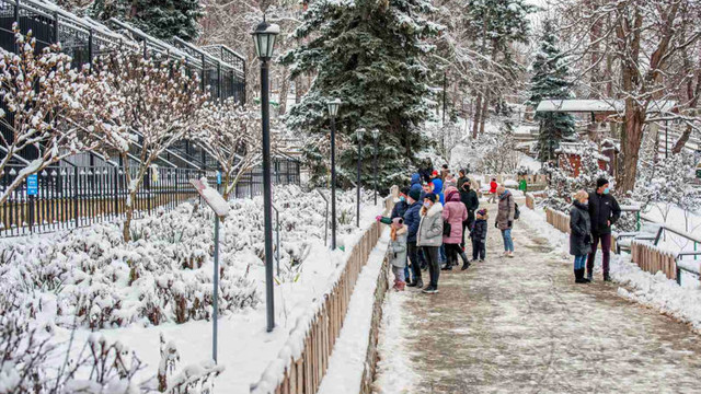 Grădina Zoologică din Chișinău își suspendă activitatea din cauza gheții
