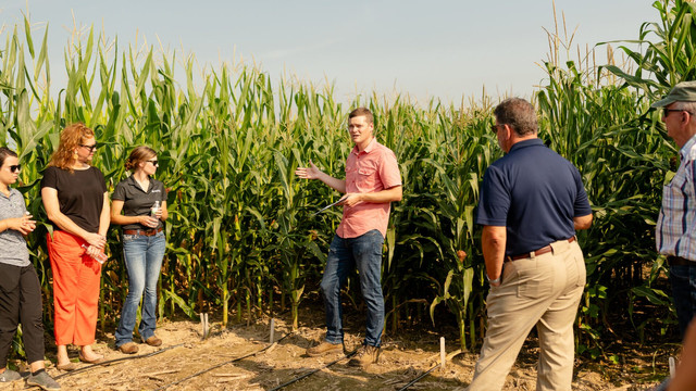 Fermierii din Republica Moldova pot accesa servicii de consiliere agricolă pe întreg ciclul de producere

