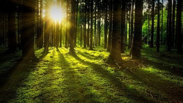 În Republica Moldova va fi creată Instituția Publică „Arii Naturale Protejate de Stat”

