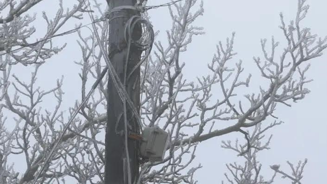 Meteo 22 februarie: Ninsori în centrul și sudul R. Moldova. Minime de până la -8°C
