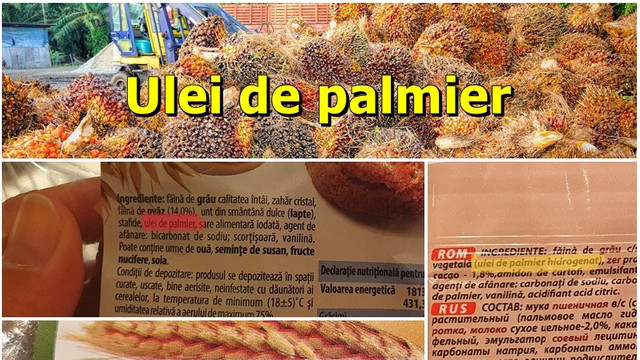 Specialiști ANSP: Citiți etichetele! Uleiul de palmier hidrogenat poate afecta sănătatea