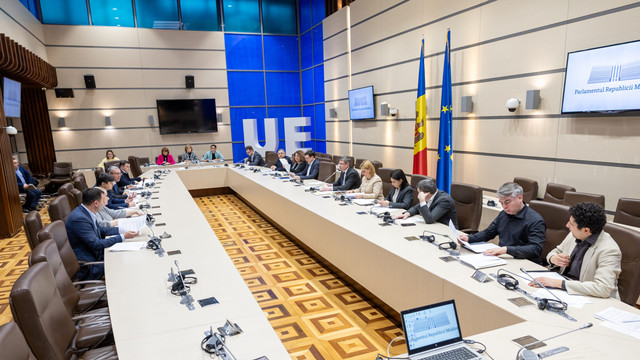 Parlamentul organizează audieri pe tema prevenirii și combaterii traficului de droguri
