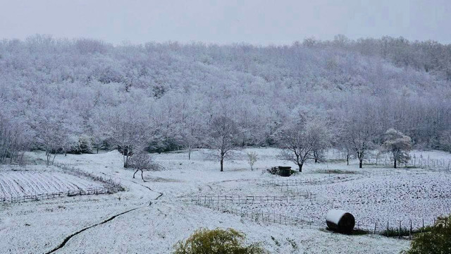 Ce temperaturi se vor înregistra pe întreg teritoriul R. Moldova
