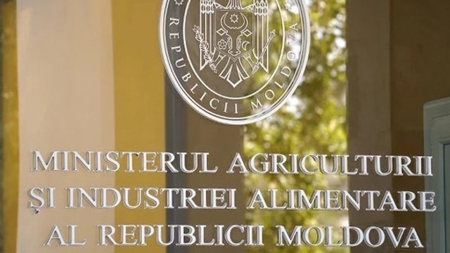 Ministerul Agriculturii: Nu există niciun embargo asupra vinurilor moldovenești pe piața ucraineană