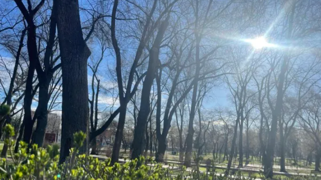METEO | Vreme mai caldă la început de martie: temperaturile vor urca până la 15 grade Celsius