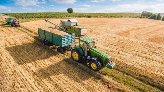 Agricultura R. Moldova a crescut cu circa 14% în 2025, pe fondul avansului producției vegetale
