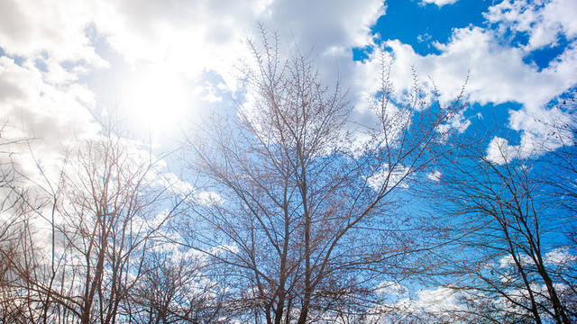 METEO | Cer variabil și maxime de până la 12 grade Celsius, prognozate de meteorologi pentru marți 