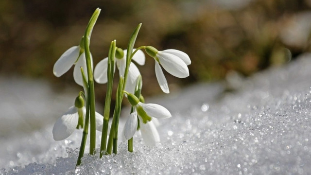 METEO. Vreme frumoasă și cer senin în R. Moldova. Temperaturi de până la +12 grade

