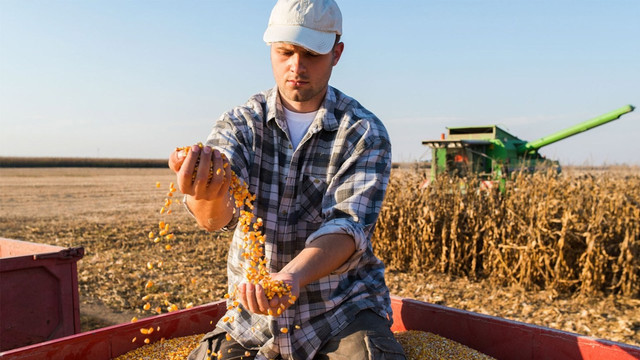 Guvernul menține subvenția de 70% pentru asigurarea agricolă: circa 120 milioane de lei alocați în 2026

