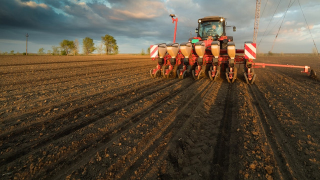 Republica Moldova se pregătește să atragă mai multe investiții în sectorul agroalimentar. Alexandru Munteanu: „Reprezintă unul dintre domeniile strategice”