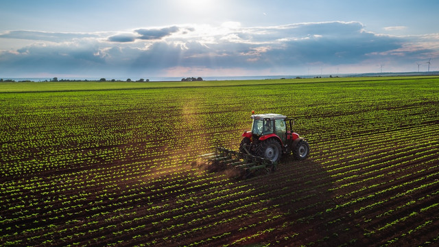 Transparență în subvenționarea agricolă: AIPA a publicat analiza de gen și distribuția fondurilor pentru anul 2025

