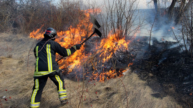 Incendii de proporții în mai multe raioane: Peste 180 hectare de vegetație mistuite de flăcări în ultimele 24 de ore

