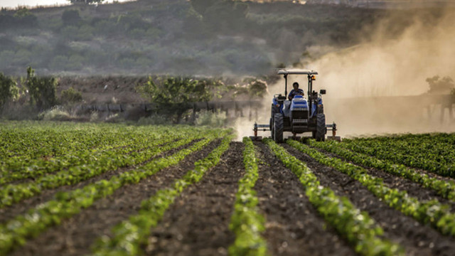 Agricultorii vor primi de la Guvern compensații de 4.000 de lei pe tona de motorină

