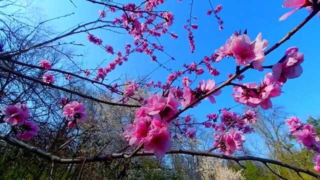 Prognoza meteo pentru 16 martie: Cer senin și temperaturi de primăvară: maxime de până la +16°C
