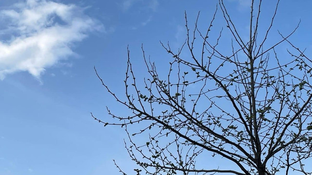 METEO | Cer noros și maxime de până la 12 grade Celsius, prognozate pentru joi 