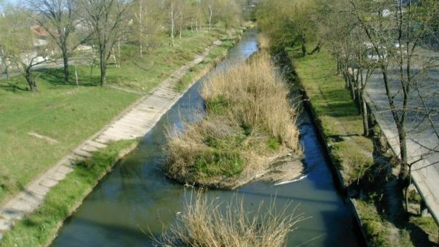 Pete de ulei, observate pe râul Bâc în zona municipiului Chișinău

