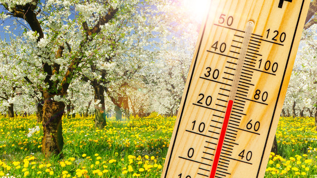 Cer senin și maxime de până la +18 grade Celsius, prognozate pentru joi

