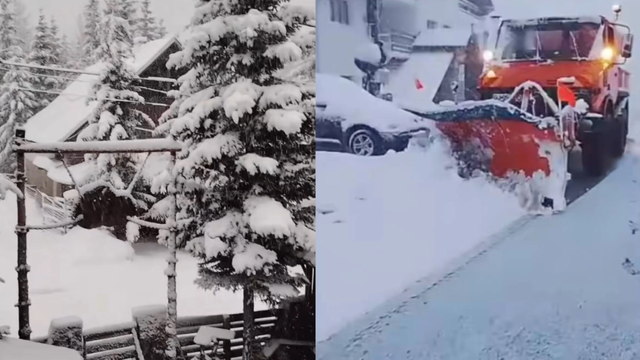 VIDEO | Ninsori puternice în mai multe județe din România. Strat de zăpadă de peste 35 de centimetri în unele zone