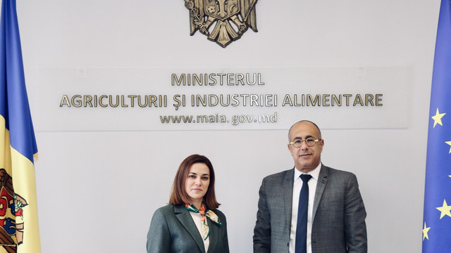 Banca Mondială sprijină alinierea agriculturii moldovenești la standardele europene și dezvoltarea lanțurilor valorice

