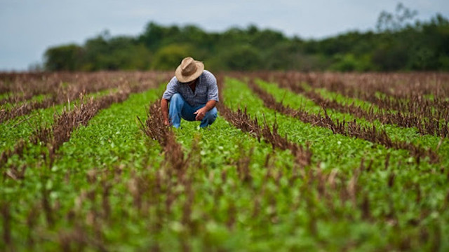 Programul „Facilitatea de Creditare în Agricultură” a finanțat peste 400 de proiecte în ultimul an

