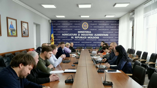 Ministerul Agriculturii consultă asociațiile de profil pentru înființarea Oficiului Horticol