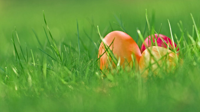 METEO | Prognoza meteo de Paște: vreme răcoroasă, ploi slabe și înghețuri de până la −3 grade Celsius 
