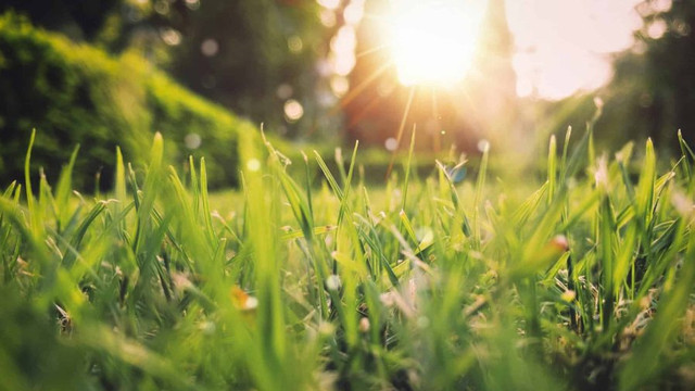 METEO | Cer variabil și maxime de până la 20 de grade Celsius, prognozate pentru joi
