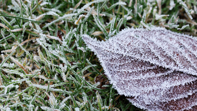 Meteorologii au emis Cod galben de îngheț, valabil în nordul R. Moldova
