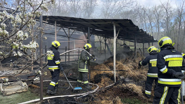 Incendiu la hiprodromul din Chișinău. Cinci echipaje de pompieri au intervenit (FOTO)