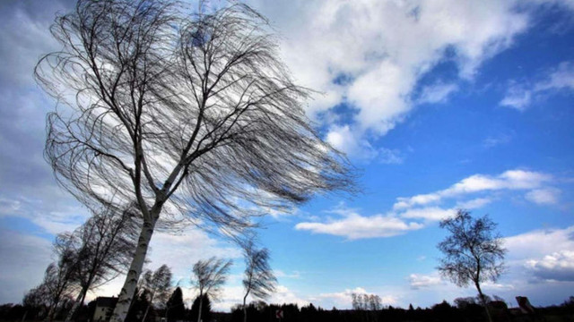Meteorologii au emis Cod portocaliu de vânt puternic