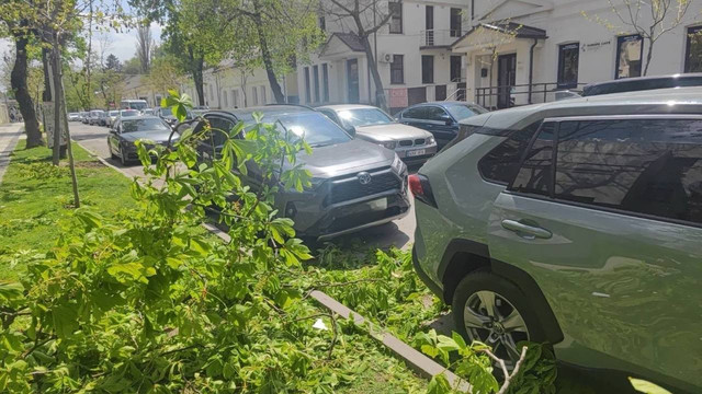 FOTO, VIDEO | Vântul puternic provoacă distrugeri: arbori căzuți în mai multe regiuni și mașini avariate la Orhei 