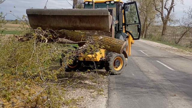Mai mulți copaci, doborâți de vânt pe drumurile naționale. Circulația, afectată temporar (FOTO)