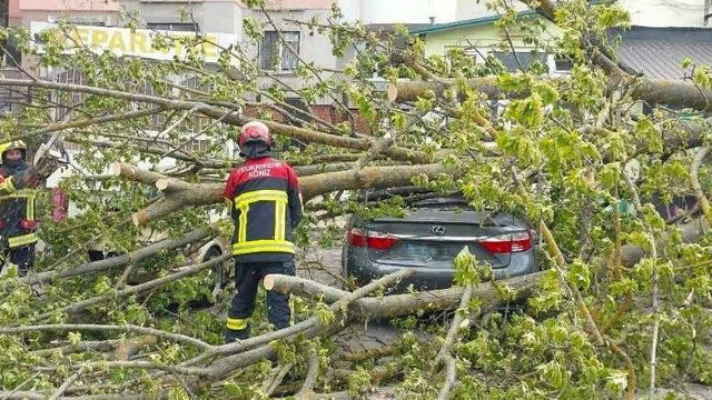 Vântul a făcut ravagii în R. Moldova: Copaci doborâți, persoane rănite și una decedată
