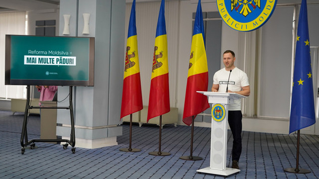 Reforma Moldsilva: mai puțină risipă și utilizarea eficientă a tehnicii silvice
