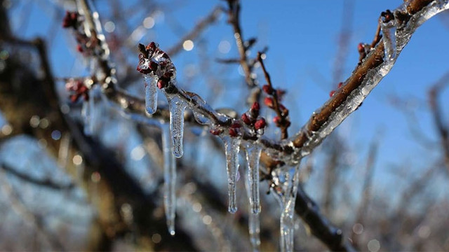 Cod galben de îngheț în R. Moldova: Când e valabil fenomenul