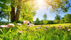 METEO | Cer senin și temperaturi de până la 25 de grade, prognozate de meteorologi pentru luni
