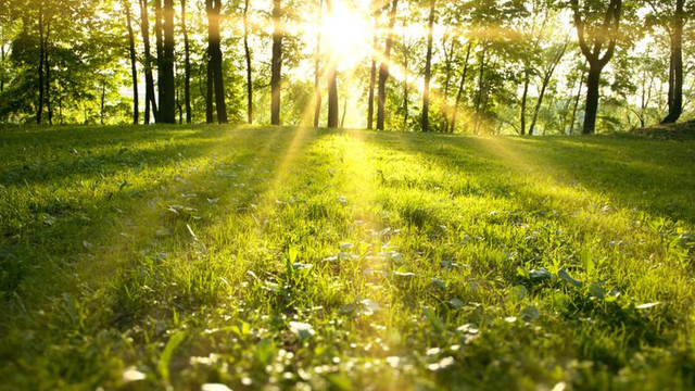 METEO. Vremea azi, 5 mai 2026: Zi cu soare și temperaturi ridicate

